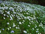 20070322 03.jpg